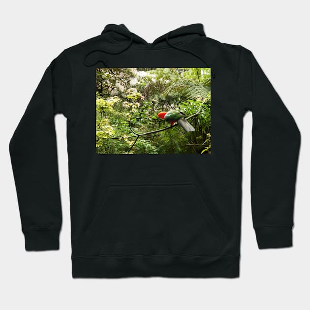 King Parrot Hoodie by rozmcq